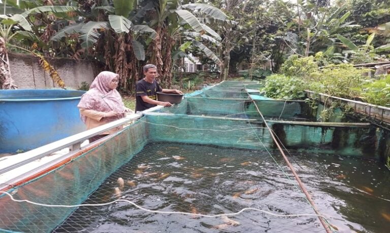 Kekeringan Mulai Berdampak kepada Sektor Peternakan dan Perikanan di Kabupaten Bogor, Ini Langkah Diskanak