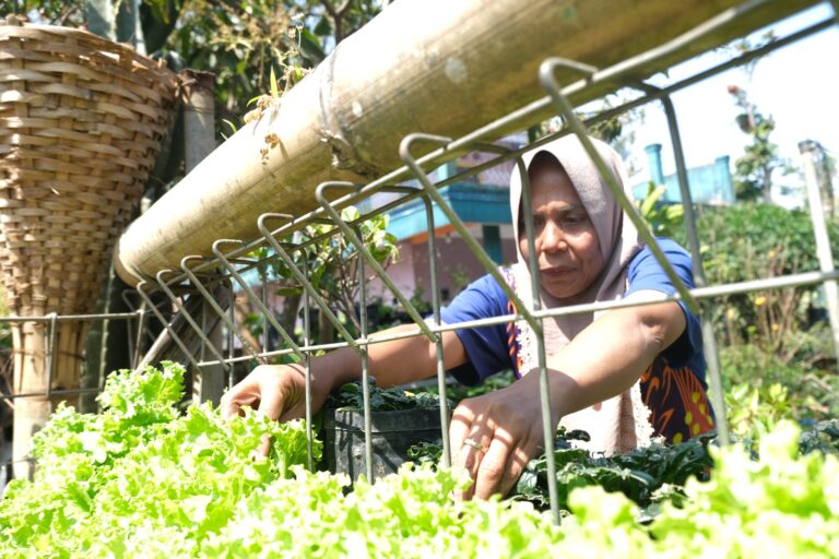 Program Harum Madu Sudah Tersebar di 382 Desa, Jadi Solusi Air dan Pangan Masyarakat Kabupaten Garut