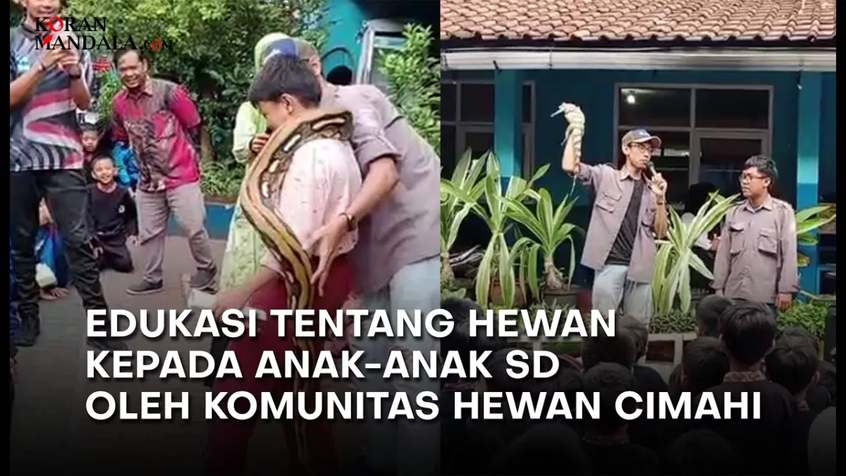 Komunitas Hewan Cimahi Edukasi Anak