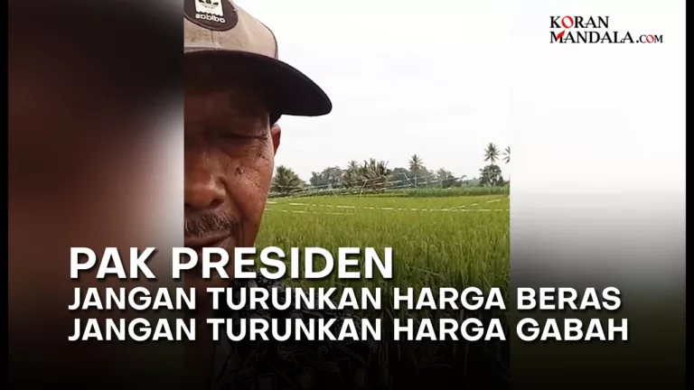 Viral, Petani Justru Ingin Harga Beras dan Gabah Naik Lagi