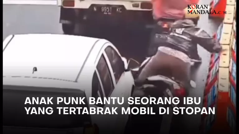 Anak PUnk