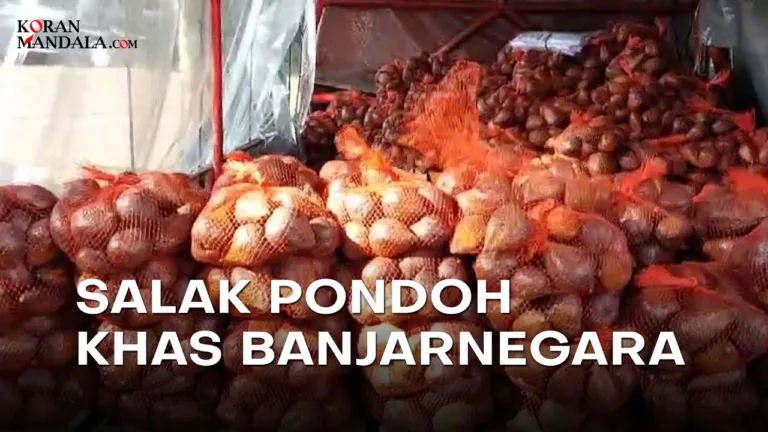 Salak Pondoh