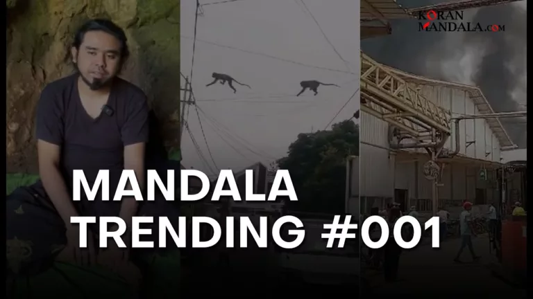 Mandala trending