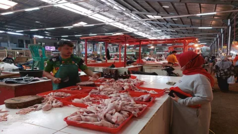 harga ayam dan telur di kuningan