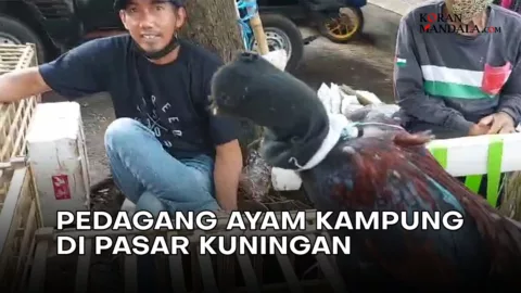 Ayam Kampung Banyak Dicari Saat Ramadan