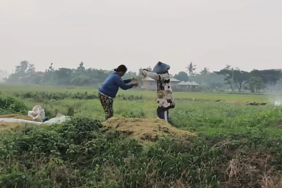 Tantangan Petani di Kampung Citaliktik: Menjaga Produktivitas Meski Lahan Sawah Menyusut