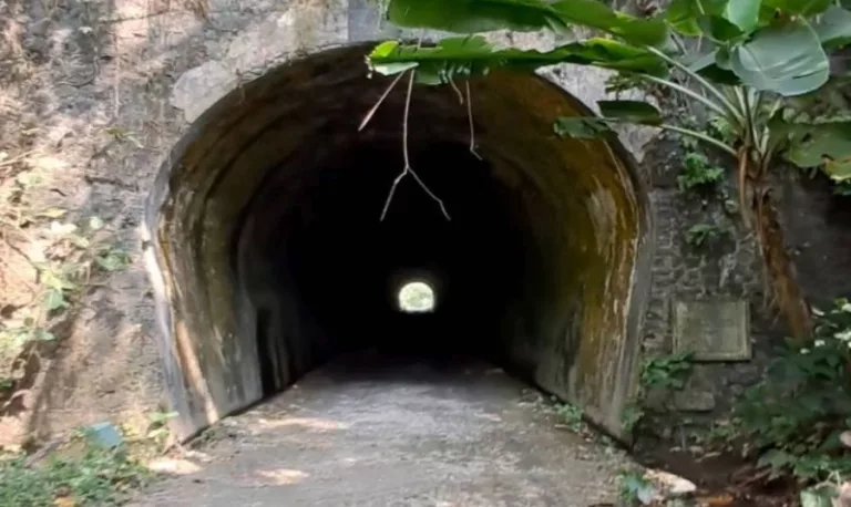 Terowongan Wilhelmina