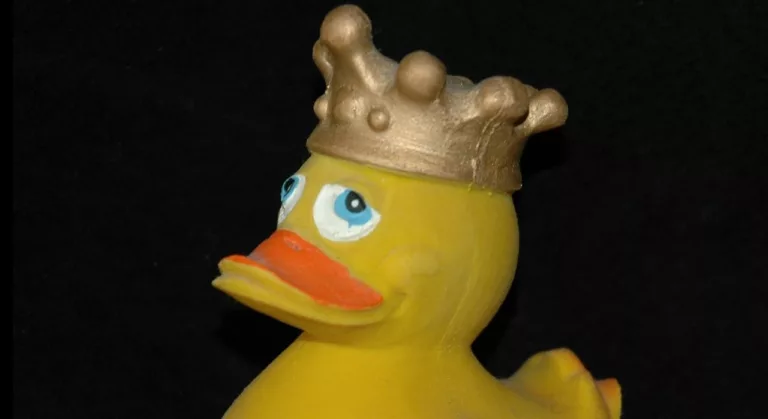 lame duck