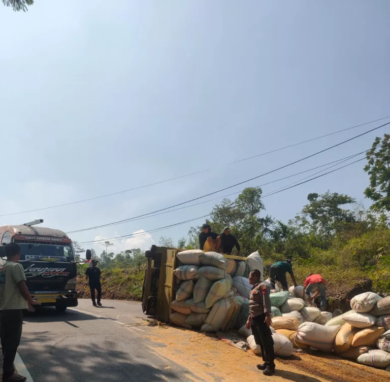 Truck pengangkut sekam terguling di Pakenjeng Bungbulang Garut