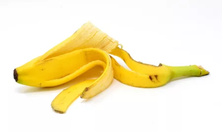 kulit pisang