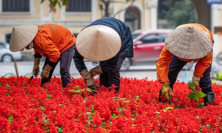 orang jepang berkebun