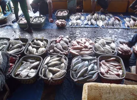 Pasar Ikan