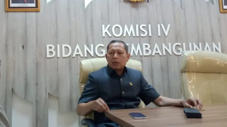 Daddy Rohanady Bantah Prabowo Anggap Data BPS Selama ini Tak Mencerminkan Kondisi Masyarakat Sebenarnya