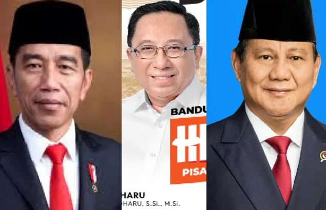 Berterimakasih pada Jokowi, Haru Suandharu Minta Presiden Prabowo Stop Kesalahan Masa Lalu