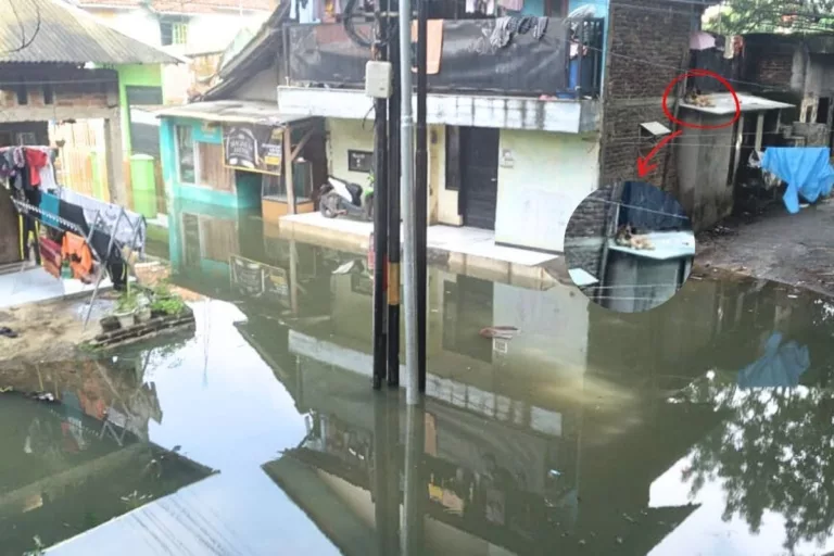 Banjir tahunan yang rutin melanda Dayeuhkolot, Kabupaten Bandung, setiap musim hujan memaksa masyarakat setempat untuk terus beradaptasi.