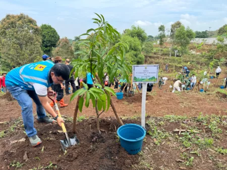 PLN UP3 Bandung Turut Serta dalam Program “Bandung Menanam Jilid 6”