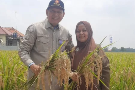 Petani di Jawa Barat harus merdeka dan sejahtera. Untuk mewujudkannya, diperlukan pendekatan yang serius dan sistematis