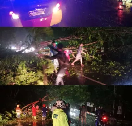 Pohon Tumbang di exit tol Rajamandala KBB