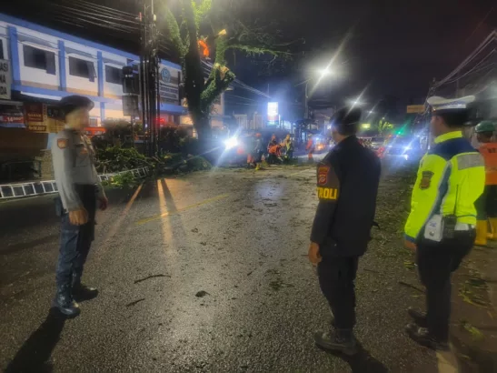 Pemangkasan Pohon di Pinggir Jalan Nasional, Polisi Dikerahkan Bantu BPBD Kota Tasikmalaya.