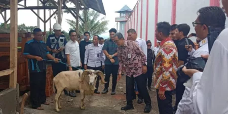 Hari Bakti Imigrasi: Asep Kurnia Tinjau Peternakan Domba Garut di Lapas