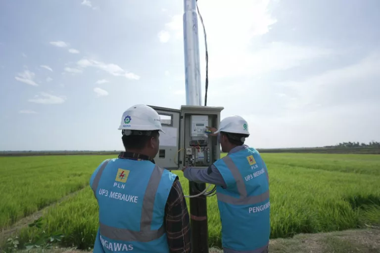 Dukung Tranformasi Pertanian Modern, Electrifying Agriculture PLN Raih 53.539 Pelanggan Baru di Tahun 2024