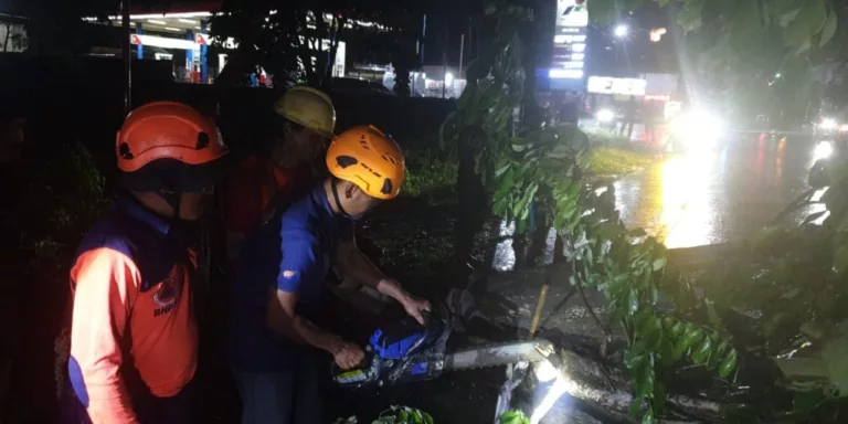 Petugas sedang Berusaha Menyingkirkan Pohon Sonokeling yang Menghalangi Jalan