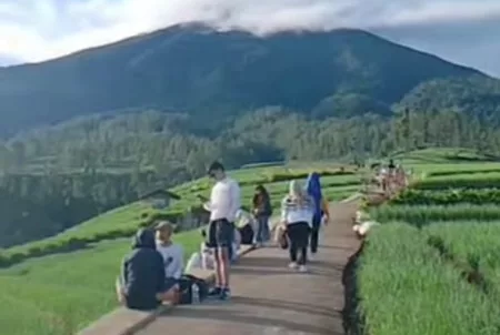 Viral! Kebun Bawang di Bayongbong Jadi Destinasi Wisata Baru di Garut