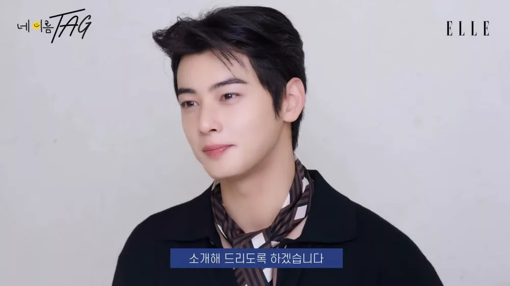 Personal Item Cha Eun Woo. (Ytube/Elle Korea)