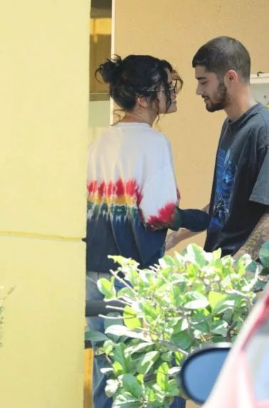 Zayn dan Selena (X)