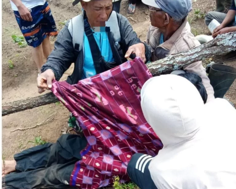 Pohon Tumbang di Pamulihan Garut, Satu Tewas dan Dua Terluka