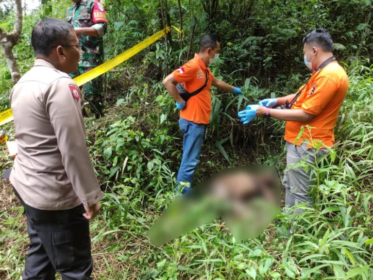 Mayat Diduga ODGJ Ditemukan di Kawasan TNGC, Warga Setianegara Geger