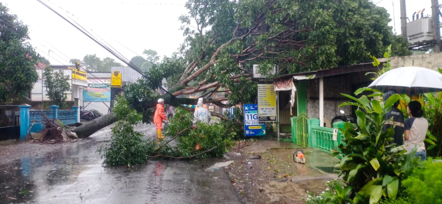 Angon Kencang di Garut membuat banyak pohon tumbang dan rumah warga rusak