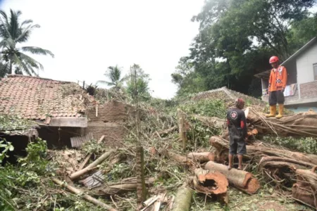 Tiga Rumah di Sidapurna Ambruk Tertimpa Pohon Raksasa