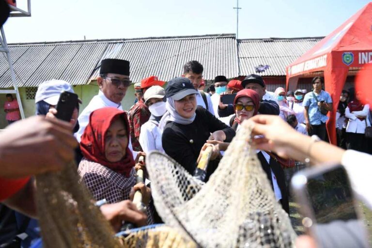 Bupati Indramayu: Budidaya Sentra Ikan Lele di Desa Kenanga Indramayu