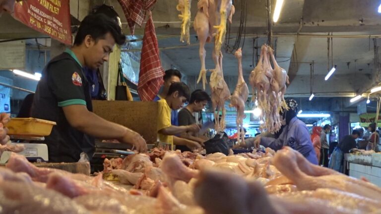 Harga Daging Ayam di Bandung Kian Meroket, Pedagang Ingin Pemerintah Atasi Kenaikan Harga