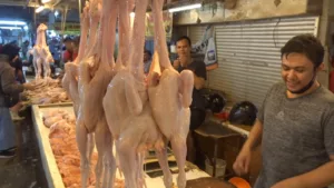 Harga Daging Ayam di Pasar Kosambi Meroket, Pedagang Kian Mengeluh