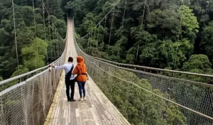 5 Wisata Sukabumi yang Cocok Dikunjungi Bareng Keluarga, Salah Satunya Jembatan Terpanjang Ini