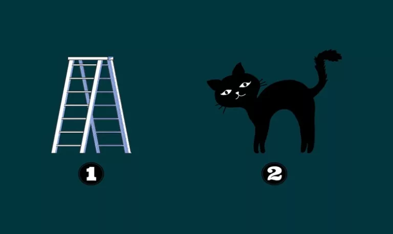 piliha tangga atau kucing hitam