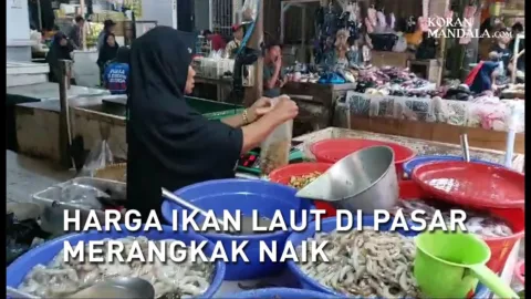 Harga Ikan Laut