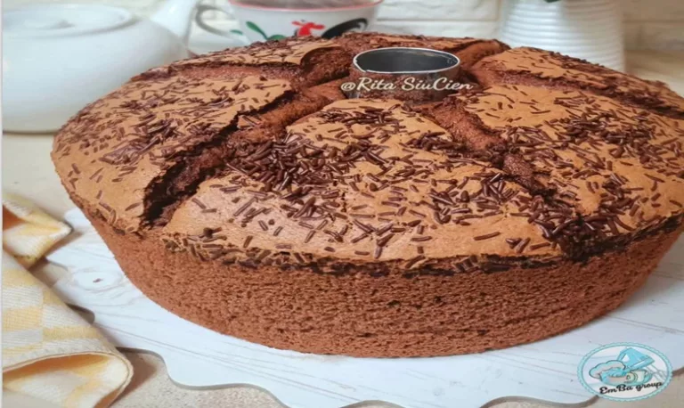 chocolate chifffon cake