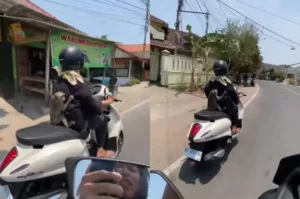 Udah Kayak Anak Sendiri, Monyet Ini Anteng Dibonceng Pemiliknya Saat Menaiki Motor