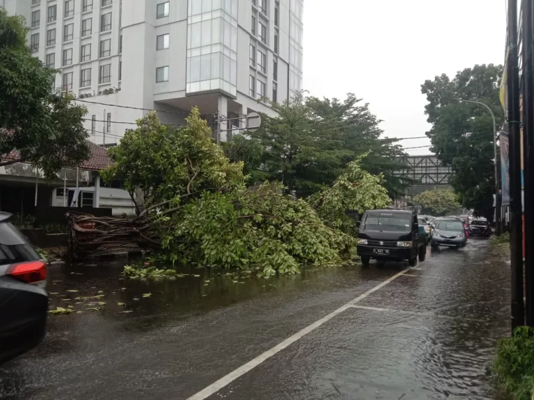 Ada Pohon Tumbang di Cikawao Lengkong Akibat Hujan Deras di Bandung Siang ini